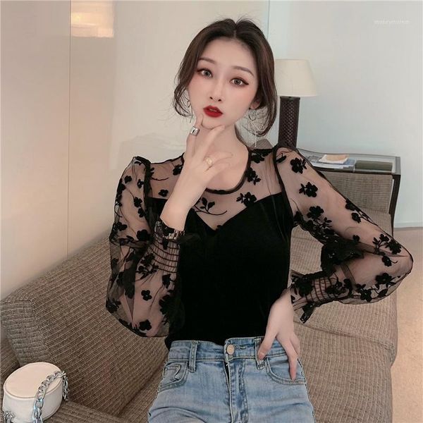 autumn see-through slim velvet stitching mesh flower shirt bottoming long-sleeved, White
autumn see-through slim velvet stitching mesh flower shirt bottoming long-sleeved, White