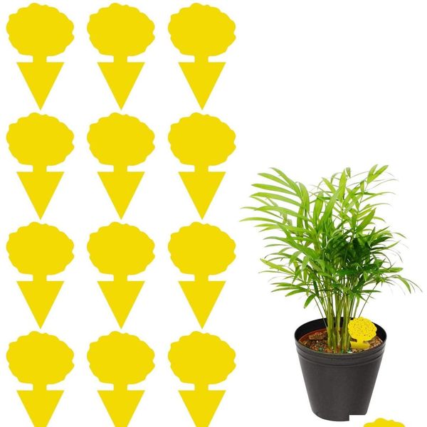 12 pack sticky trap, fruit fly and fungus gnat trap killer indoor and outdoor, protect the plant, no qylhie garden2010
12 pack sticky trap, fruit fly and fungus gnat trap killer indoor and outdoor, protect the plant, no qylhie garden2010