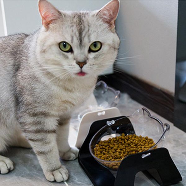 cats bowl with stand cat dog water bowl non-slip pet feeding dish 15 degree tilted adjustable feeders pet supplies products
cats bowl with stand cat dog water bowl non-slip pet feeding dish 15 degree tilted adjustable feeders pet supplies products