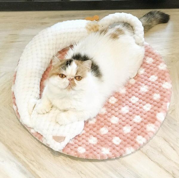 cat beds & furniture cartoon pet kitty bed house warm puppy mini dog chihuahua yorkshire mat kennel
cat beds & furniture cartoon pet kitty bed house warm puppy mini dog chihuahua yorkshire mat kennel
