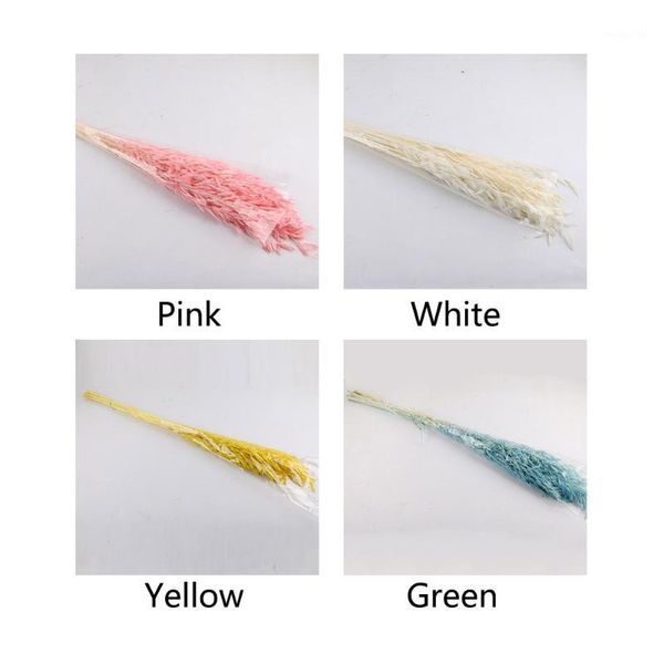 50 pcs dried flower party wedding eco friendly non toxic natural home diy anniversary valentine's day gift pgraphy prop1
50 pcs dried flower party wedding eco friendly non toxic natural home diy anniversary valentine's day gift pgraphy prop1