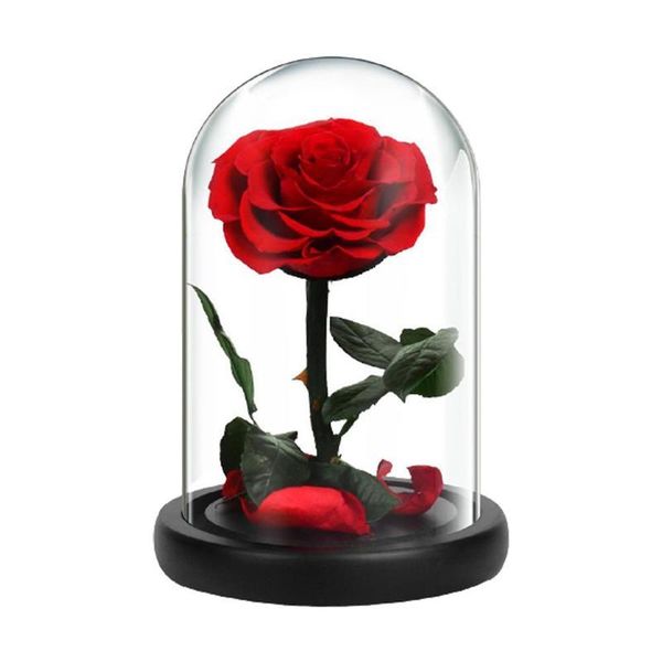 eternal preserved rose in glass dome 5 flower heads rose forever love wedding favor valentine christmas gifts for women ladies
eternal preserved rose in glass dome 5 flower heads rose forever love wedding favor valentine christmas gifts for women ladies