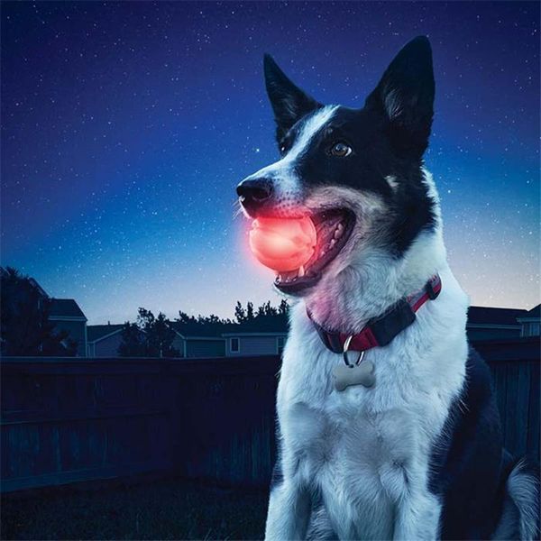 pet dog ball toy glow streak light для средних больших собак ночь играть светящиеся собаки воротник интерактивный led pet собака q wmtwox
pet dog ball toy glow streak light для средних больших собак ночь играть светящиеся собаки воротник интерактивный led pet собака q wmtwox