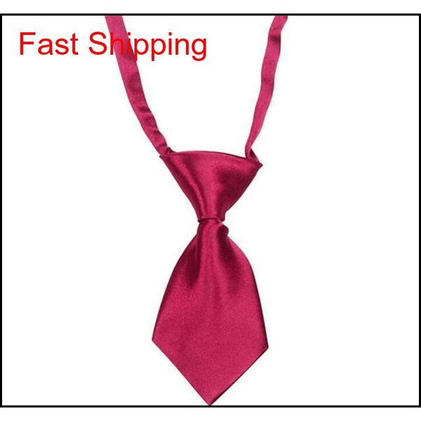 new adjustable pet tie dog cat teddy pet puppy toy grooming bow tie necktie c qylqsx queen66, Blue;purple
new adjustable pet tie dog cat teddy pet puppy toy grooming bow tie necktie c qylqsx queen66, Blue;purple