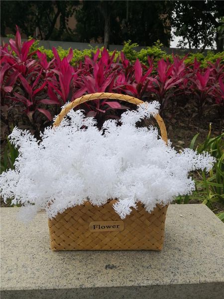10pcs 35cm plastic foggy flower christmas pine grass without basket fake grass wedding decoration1
10pcs 35cm plastic foggy flower christmas pine grass without basket fake grass wedding decoration1