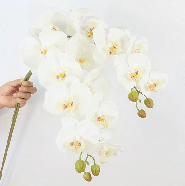 simulation flower 9 head phalaenopsis ultra artificial flower northern europe dining table decoration wedding flower white purple
simulation flower 9 head phalaenopsis ultra artificial flower northern europe dining table decoration wedding flower white purple