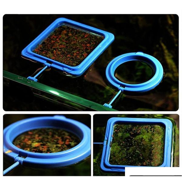 nicrew aquarium feeding ring fish tank floating food tray feeder square circle accessory water plant bu qylabz homes2011
nicrew aquarium feeding ring fish tank floating food tray feeder square circle accessory water plant bu qylabz homes2011