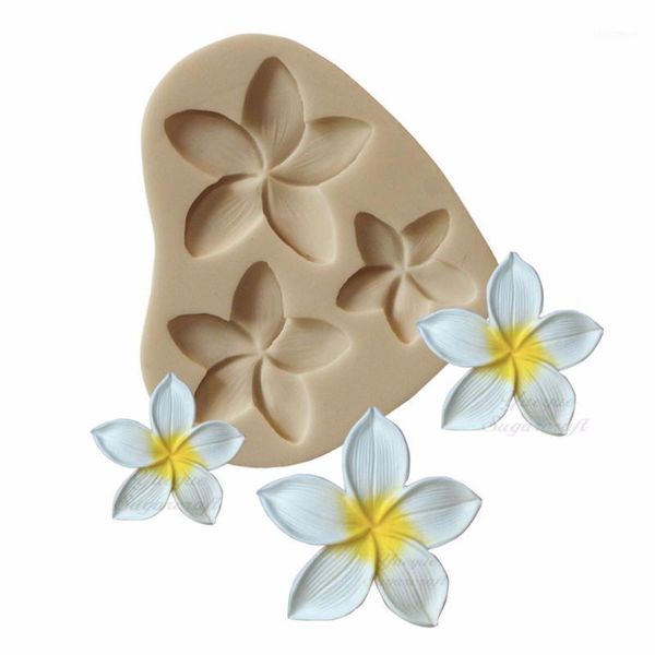 cake tools yueyue sugarcraft plumeria flower silicone mold fondant decorating chocolate gumpaste1
cake tools yueyue sugarcraft plumeria flower silicone mold fondant decorating chocolate gumpaste1