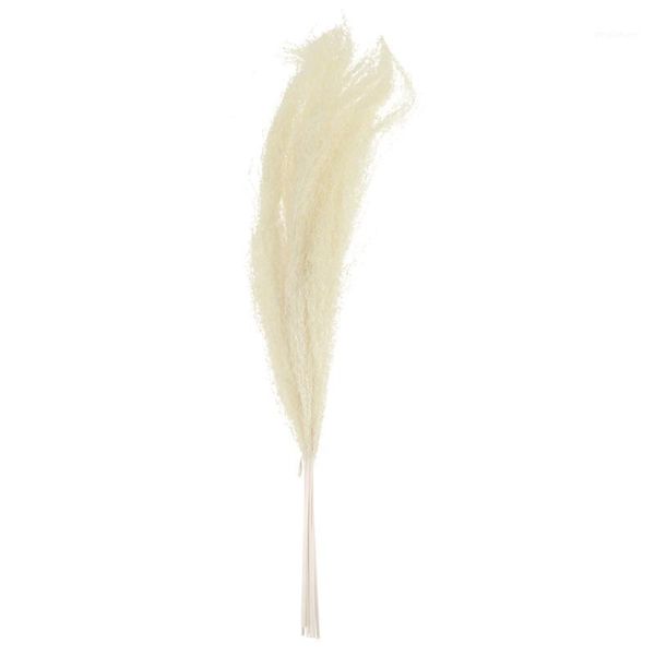 6pcs beautiful pastoral style creative decorative simple dried reed bouquet dried flowers bunch for office1
6pcs beautiful pastoral style creative decorative simple dried reed bouquet dried flowers bunch for office1