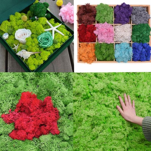 decorative flowers & wreaths 40g artificial green moss fake flower grass diy for home mini garden wall decoration micro landscape accessori
decorative flowers & wreaths 40g artificial green moss fake flower grass diy for home mini garden wall decoration micro landscape accessori