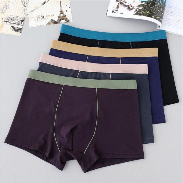 3pcs lot boxer mens underwear men cotton underpants male pure color panties boxer shorts cotton big size xl -9xl cuecas1, Black;white
3pcs lot boxer mens underwear men cotton underpants male pure color panties boxer shorts cotton big size xl -9xl cuecas1, Black;white