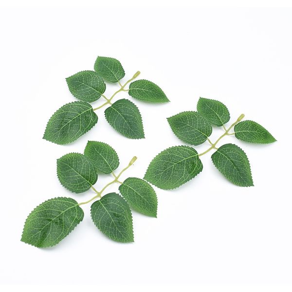 10pcs silk roses leaves christmas leaf decorative flowers scrapbooking wedding bridal accessories clearance artificial plants f wmtzcs
10pcs silk roses leaves christmas leaf decorative flowers scrapbooking wedding bridal accessories clearance artificial plants f wmtzcs