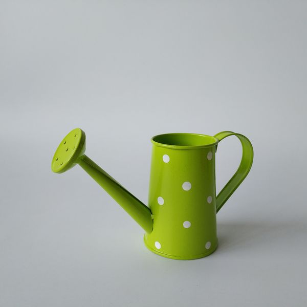d6xh8cm wholesale decorative watering cans metal party favor box easter egg pot holder green with dot design event festive supplies
d6xh8cm wholesale decorative watering cans metal party favor box easter egg pot holder green with dot design event festive supplies
