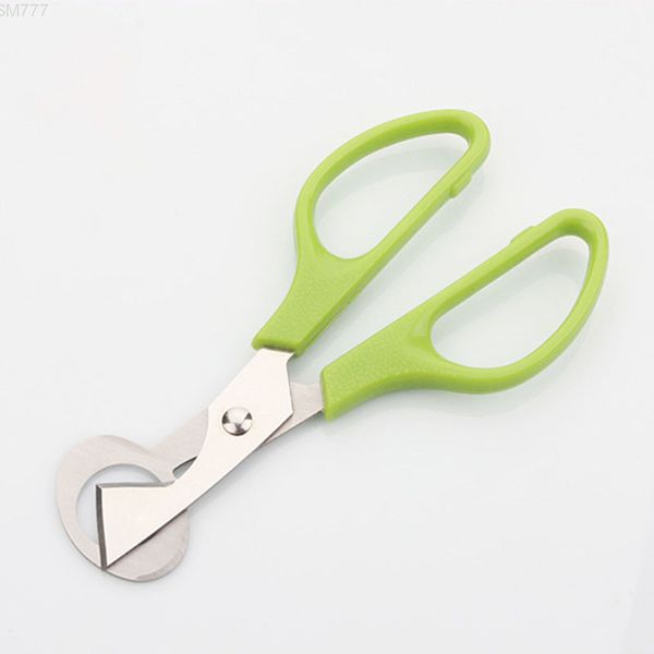 quail egg scissors bird shell tainless steel cracker kitchen accessories gadgets for eggs dhb1956
quail egg scissors bird shell tainless steel cracker kitchen accessories gadgets for eggs dhb1956