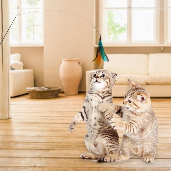 interactive toy for teasing cats extensible fishing rod cat stick gift for cat pet supplies color random1
interactive toy for teasing cats extensible fishing rod cat stick gift for cat pet supplies color random1