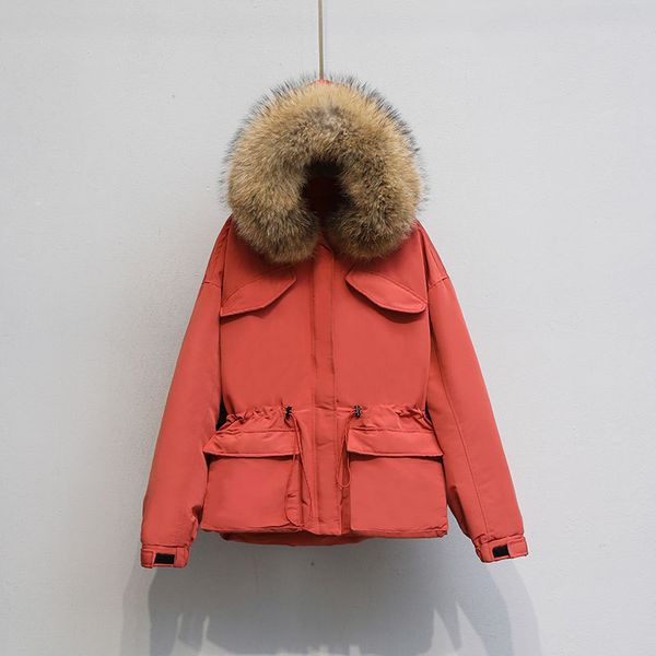 mulher inverno para baixo das mulheres gola de pele guaxinim parkas soprador coreano oversize wpy1027 jaqueta roupa ivj3, Black
mulher inverno para baixo das mulheres gola de pele guaxinim parkas soprador coreano oversize wpy1027 jaqueta roupa ivj3, Black