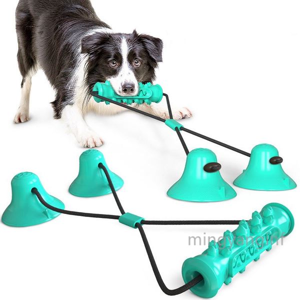 dog toys toys pet molear двойной всасывающей чашку собака жевать игрушки против рвущей самозагревательный мяч помогает зубам чистить my-inf
dog toys toys pet molear двойной всасывающей чашку собака жевать игрушки против рвущей самозагревательный мяч помогает зубам чистить my-inf