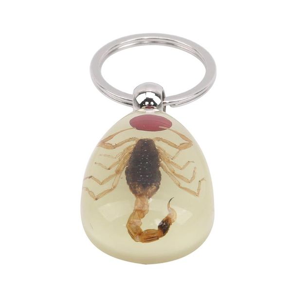 keychains luminous real insect key chain - product ant and scorpion keychain bag car ring, Silver
keychains luminous real insect key chain - product ant and scorpion keychain bag car ring, Silver