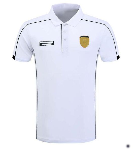 lapel polo shirt polyester quick-drying short-sleeved motorcycle racing t-shirt for men and women breathable can be customized
lapel polo shirt polyester quick-drying short-sleeved motorcycle racing t-shirt for men and women breathable can be customized