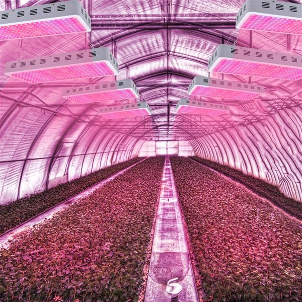 3000w dual chips 380-730nm square full light spectrum led plant growth lamp white premium material grow lights
3000w dual chips 380-730nm square full light spectrum led plant growth lamp white premium material grow lights