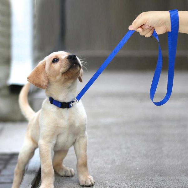 nylon pet dog leash belt puppy walkiing training dog lead running rope leashes for small meduim dogs chihuahua pug pet wmtemo
nylon pet dog leash belt puppy walkiing training dog lead running rope leashes for small meduim dogs chihuahua pug pet wmtemo