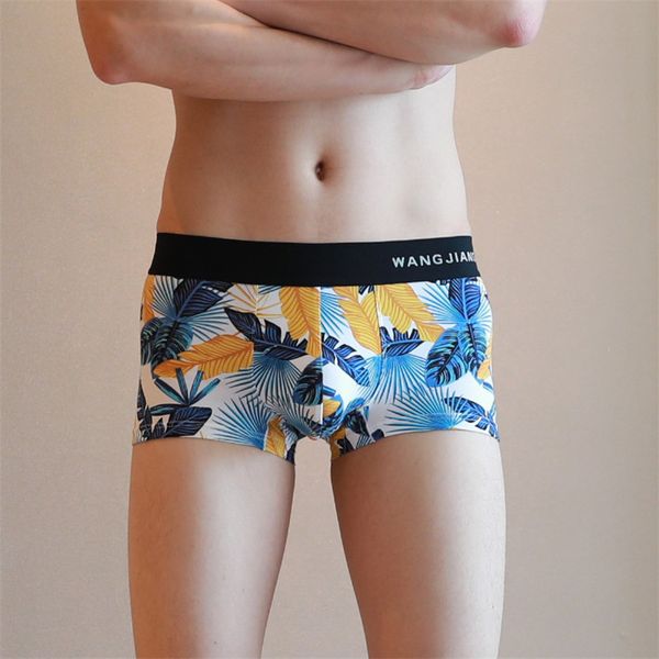 3pieces/lot male breathable panties boxer cotton man underwear trunks leaves print homme comfortable male shorts boxer underwear, Black;white
3pieces/lot male breathable panties boxer cotton man underwear trunks leaves print homme comfortable male shorts boxer underwear, Black;white