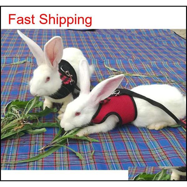 pet rabbit walking harness leash lead,puppies rabbits hamster leash vest traction rope for small animal adjustable soft qylzqo bde_luck
pet rabbit walking harness leash lead,puppies rabbits hamster leash vest traction rope for small animal adjustable soft qylzqo bde_luck