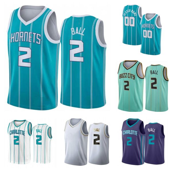 2021 men charlotte hornets jersey 2 lamelo ball basketball jerseys swingman press custom jerseys basketball jersey shirt, Black;red
2021 men charlotte hornets jersey 2 lamelo ball basketball jerseys swingman press custom jerseys basketball jersey shirt, Black;red