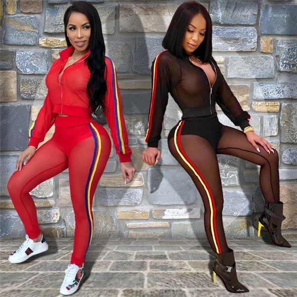 side stripe sheer mesh women two piece set solid long sleeve jacket crop and pants with briefs tracksuit club outfit1, White 
side stripe sheer mesh women two piece set solid long sleeve jacket crop and pants with briefs tracksuit club outfit1, White