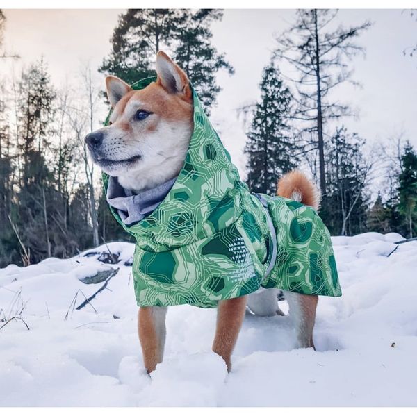 новая осень и зима хлопок снег теплое keep warm водонепроницаемая большая собака собака собака пальто для защиты от холода sqchhx bbgargden
новая осень и зима хлопок снег теплое keep warm водонепроницаемая большая собака собака собака пальто для защиты от холода sqchhx bbgargden