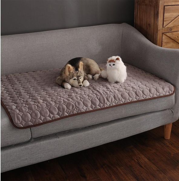 kennels & pens pet mats summer cats and dogs sofa cushions supplies cool pad ice silk cold nest bed hand wash breathable h00085
kennels & pens pet mats summer cats and dogs sofa cushions supplies cool pad ice silk cold nest bed hand wash breathable h00085