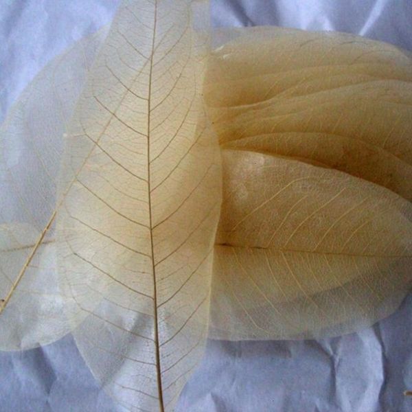 refreshing leaf oil-control deep cleanser cleansing skin creative hand made soaps portable travel bath soap
refreshing leaf oil-control deep cleanser cleansing skin creative hand made soaps portable travel bath soap