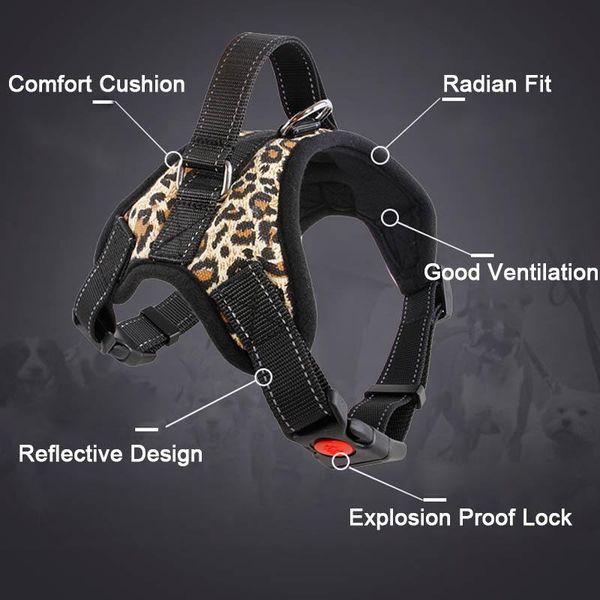 new pets dog harness vest reflective tape breathable mesh pet dogs leash harness s/m/l/xl dog collar accessories wmtyen comb2010
new pets dog harness vest reflective tape breathable mesh pet dogs leash harness s/m/l/xl dog collar accessories wmtyen comb2010