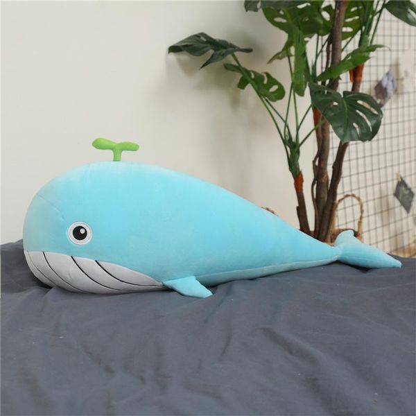 1pc 65cm new style toy very soft whale plush toys fish pillow cushion kids toys for children birthday gifts wmttic
1pc 65cm new style toy very soft whale plush toys fish pillow cushion kids toys for children birthday gifts wmttic