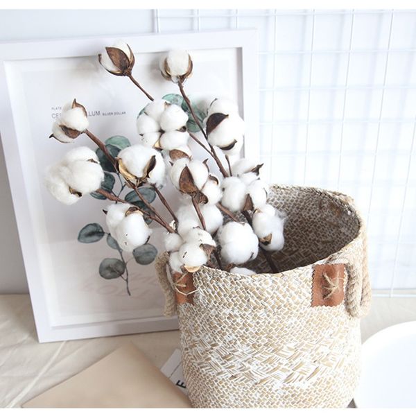 10 голова естественно сушеные хлопчатобумажные цветы искусственные растения флористическая ветвь для свадебной вечеринки украшения поддельны
10 голова естественно сушеные хлопчатобумажные цветы искусственные растения флористическая ветвь для свадебной вечеринки украшения поддельны