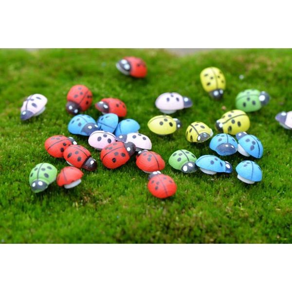 artificial wood mini lady bugs insects beatle fairy garden miniatures gnome moss terrarium decor resin crafts bonsai home decor
artificial wood mini lady bugs insects beatle fairy garden miniatures gnome moss terrarium decor resin crafts bonsai home decor