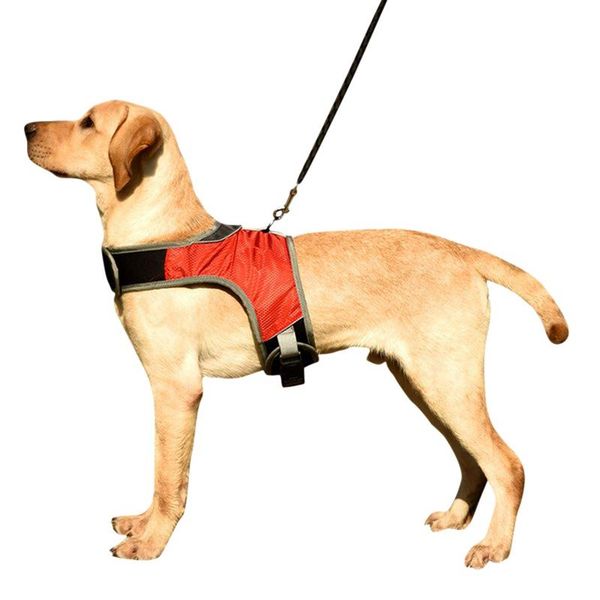 new k-shaped luminous led harness dog collor pet dog harness chest for medium large dogs night travel pet supplies
new k-shaped luminous led harness dog collor pet dog harness chest for medium large dogs night travel pet supplies