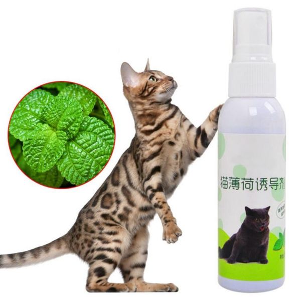 cat supplies catnip organic liquid toys natural healthy pet cat make be excited fresh extract spray
cat supplies catnip organic liquid toys natural healthy pet cat make be excited fresh extract spray