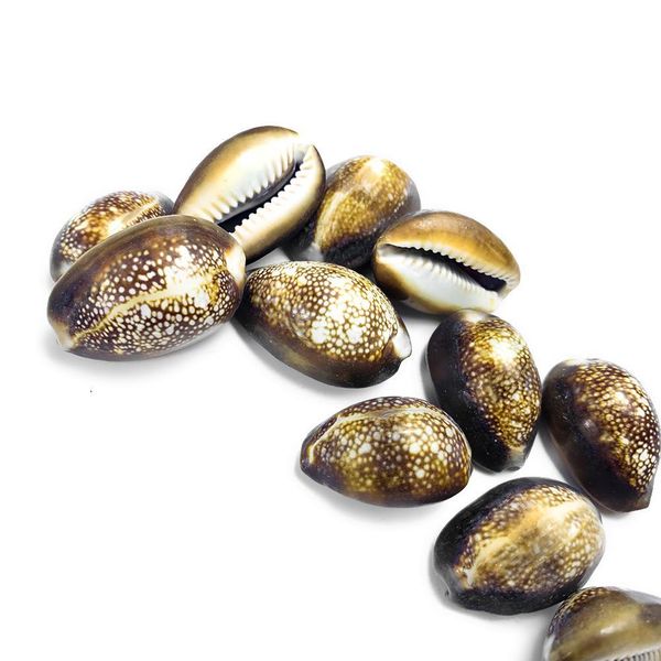 5pcs snow mountain conch shells collection specimen natural conch seashell crafts home aquarium decoration diy jewelry making h bbynjv
5pcs snow mountain conch shells collection specimen natural conch seashell crafts home aquarium decoration diy jewelry making h bbynjv