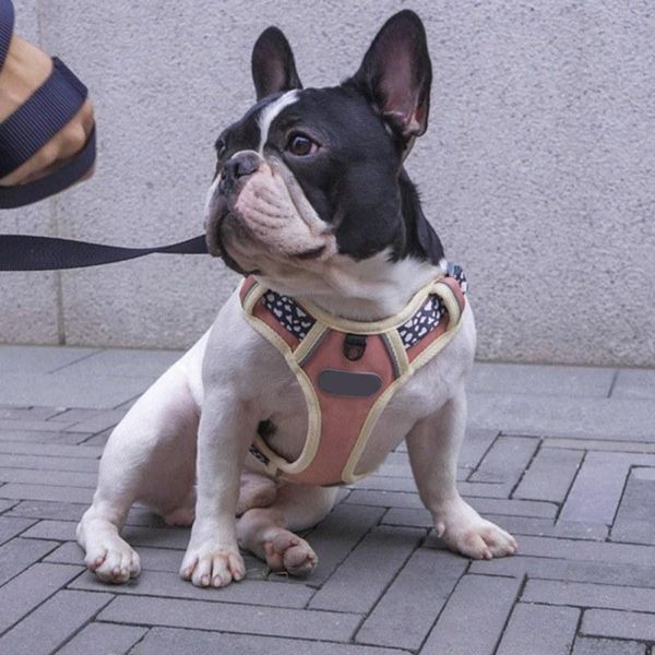 pet dog cat polyester harness reflective safe walking vest set adjustable vest walking supplies soft breathable puppy supplies
pet dog cat polyester harness reflective safe walking vest set adjustable vest walking supplies soft breathable puppy supplies