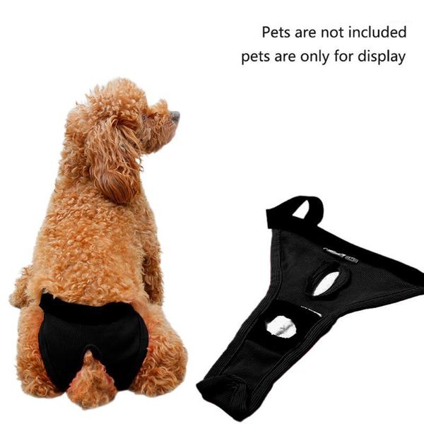 dog apparel washable sanitary pants cloth underwear small puppy adjustable diapers female anti harassment shorts breathable polyester1
dog apparel washable sanitary pants cloth underwear small puppy adjustable diapers female anti harassment shorts breathable polyester1