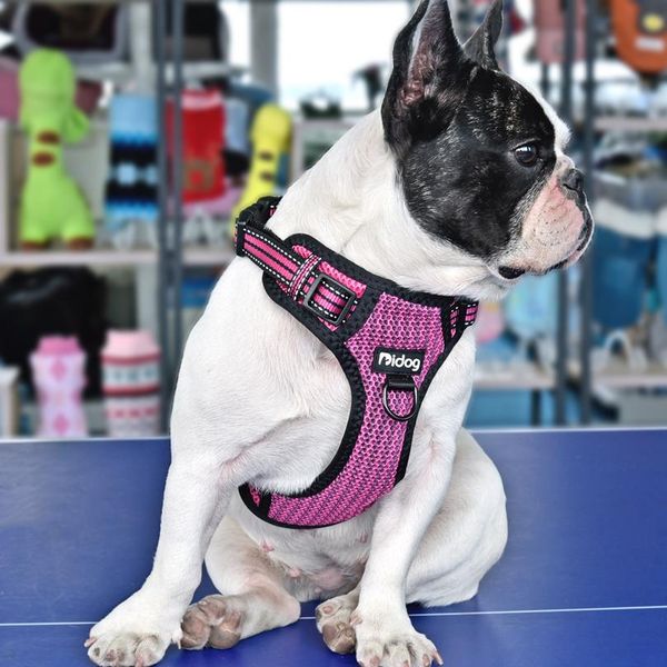 no-pull nylon dog harness reflective pet puppy harness vest safety adjustable for small medium large dogs pitbull french wmtrfc
no-pull nylon dog harness reflective pet puppy harness vest safety adjustable for small medium large dogs pitbull french wmtrfc