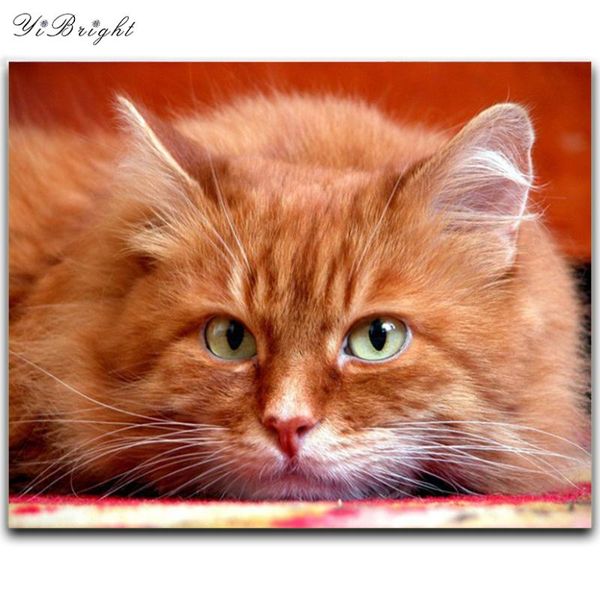 diy diamond painting animal diamond cross stitch crystal full square sets unfinished full embroidery cat yd
diy diamond painting animal diamond cross stitch crystal full square sets unfinished full embroidery cat yd