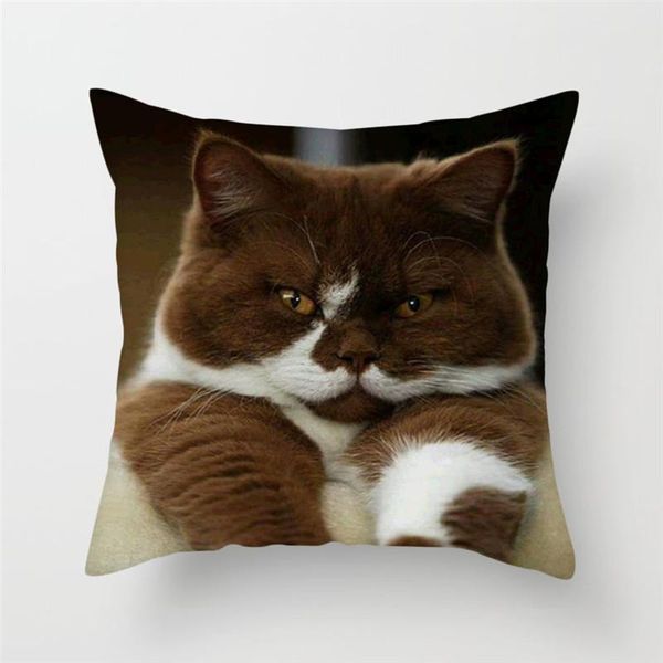 fuwatacchi cute cat print print coushion couss coussian size cookion capars для дивана бросания подушка для кафедры автомобиля декоративная
fuwatacchi cute cat print print coushion couss coussian size cookion capars для дивана бросания подушка для кафедры автомобиля декоративная