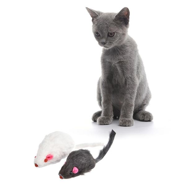 cat toys 12 pcs mouse real fur mixed loaded for pet kitty with sound simulation fluff color
cat toys 12 pcs mouse real fur mixed loaded for pet kitty with sound simulation fluff color