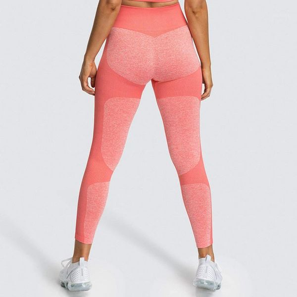 yoga outfits fitness high waist legging tummy control seamless energy gymwear workout running activewear pant hip lifting trainning wear1, White;red
yoga outfits fitness high waist legging tummy control seamless energy gymwear workout running activewear pant hip lifting trainning wear1, White;red