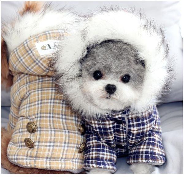 теплые домашние животные, одежда для собак хлопок россия зимние утолщение пальто костюмы англия сетки толстовки одежда для маленьких щенка с 
теплые домашние животные, одежда для собак хлопок россия зимние утолщение пальто костюмы англия сетки толстовки одежда для маленьких щенка с