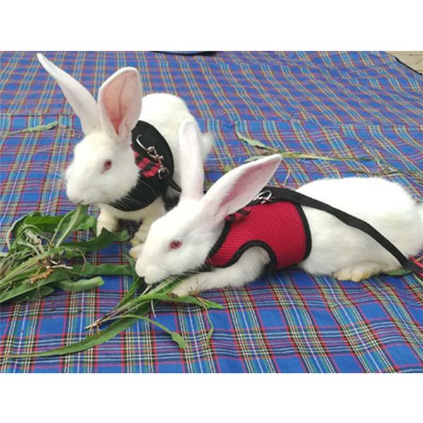 lead,puppies leash harness pet walking rabbits rabbit hamster leash vest traction rope for small animal adjustable soft
lead,puppies leash harness pet walking rabbits rabbit hamster leash vest traction rope for small animal adjustable soft