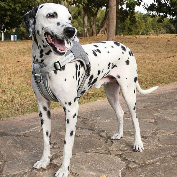 pet dog harness reflective nylon large dog vest adjustable safety vehicular lead for large mdium small dogs pet supplies
pet dog harness reflective nylon large dog vest adjustable safety vehicular lead for large mdium small dogs pet supplies