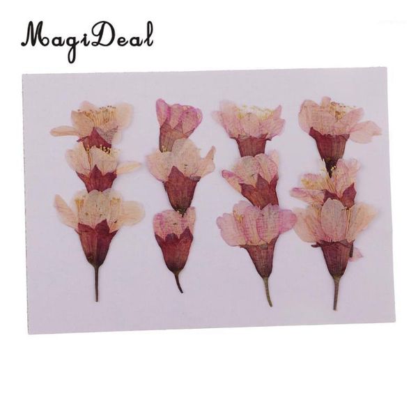 decorative flowers & wreaths 12pcs natural dried side pressed sakura cherry blossom diy scrapbooking arts crafts resin jewelry making mold f
decorative flowers & wreaths 12pcs natural dried side pressed sakura cherry blossom diy scrapbooking arts crafts resin jewelry making mold f